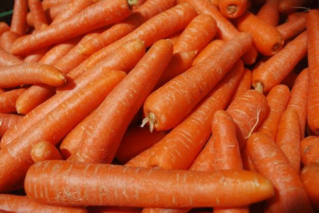 Fresh raw carrots