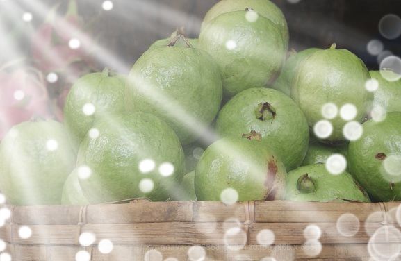 Guavas in basket