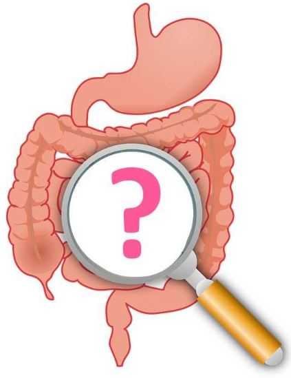 Intestine and magnifier