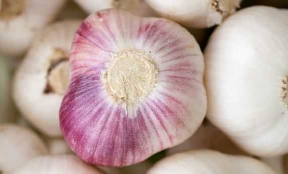 Natural home remedy relieve tinnitus. Garlic