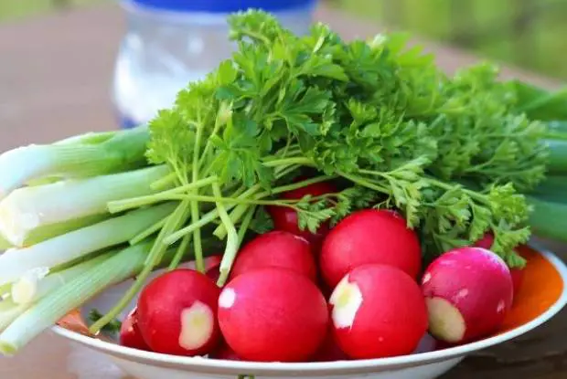 Raw radish & fresh herbs