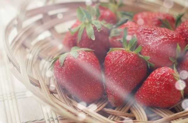 Strawberries in basket