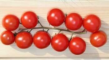 Tomatoes during pregnancy