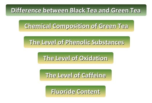 What is the Difference between Black Tea and Green Tea