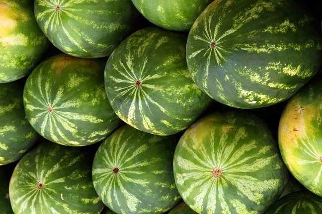 ripe watermelons
