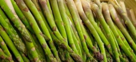 Asparagus is abundant in rutin