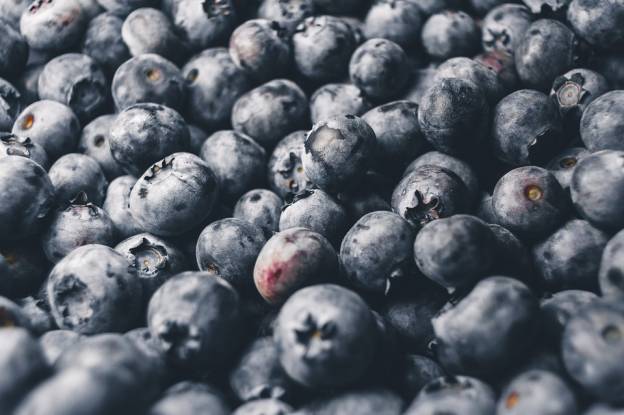 Dried bilberry from a diarrhea