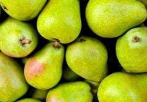 Green fresh pears