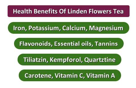 Health benefits of linden flowers tea