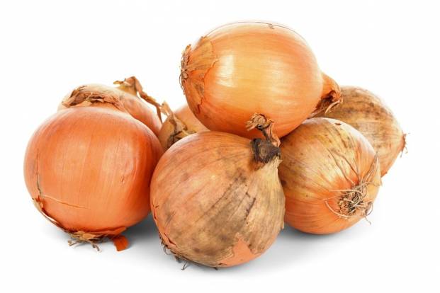 Onions during pregnancy