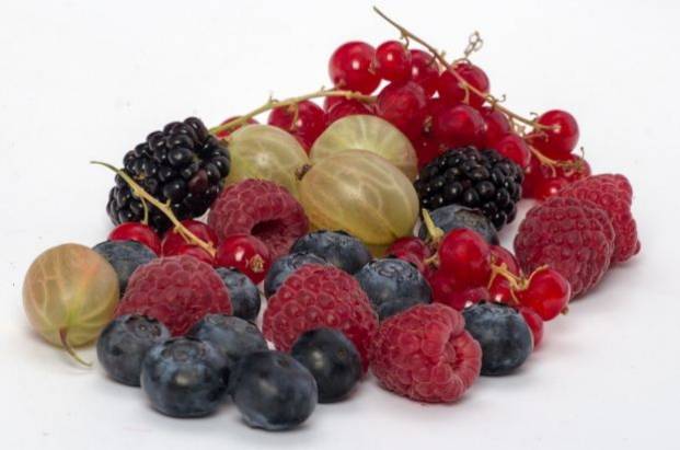 Berries and psoriasis