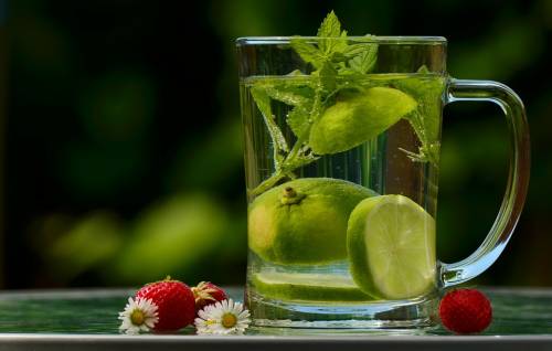 Lemon mint water weight loss