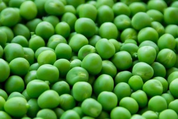 Pea and protein