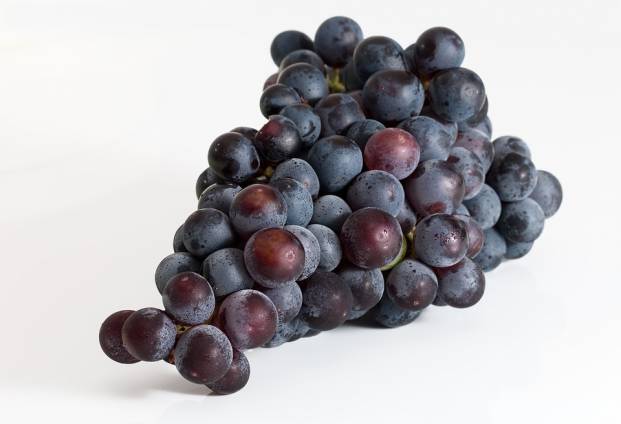 Ripe black grapes