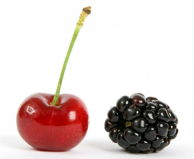 Ripe cherry and blackberry