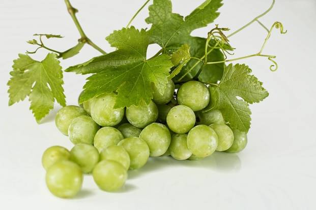 Ripe green grapes