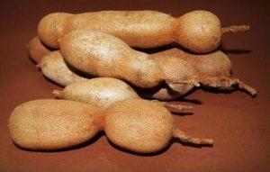 Tamarind During Pregnancy - Health Advisor