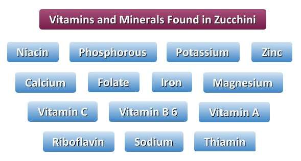 Vitamins and Minerals Found in Zucchini