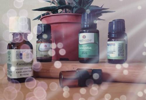 Aromatherapy essential oil