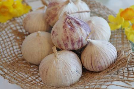 Garlic for circulation in feet