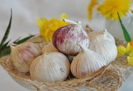 Garlic heart health benefits