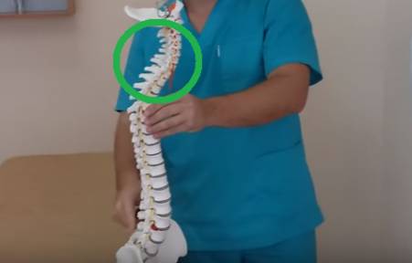 Straightening of the cervical spine symptoms