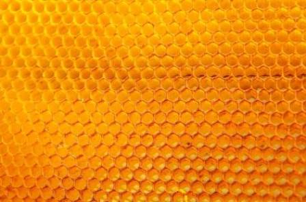 Honey and honeycomb