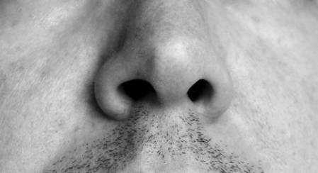 Human nose