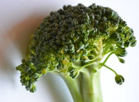 Broccoli