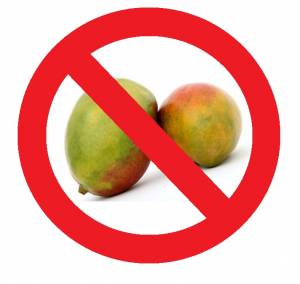 Image result for Mango Allergy