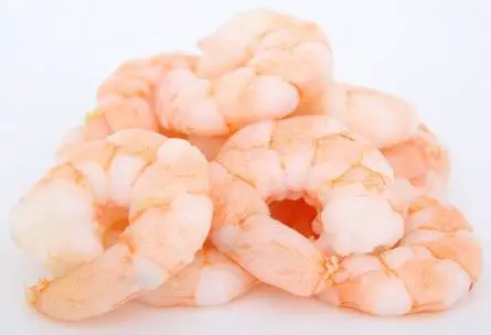 Shrimps