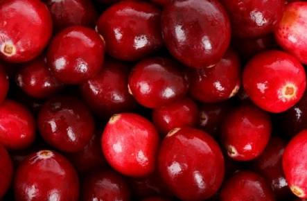 Cranberry fruit