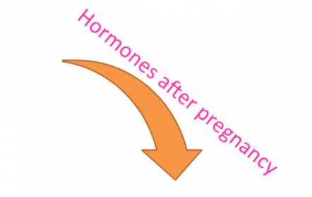 Hormones after pregnancy
