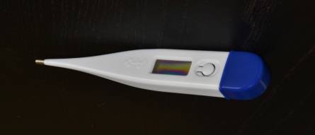 Body thermometer