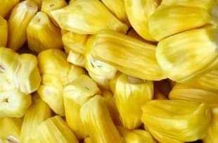 Can i eat jackfruit during pregnancy