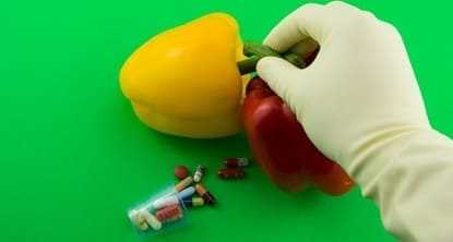Paprika and GMO
