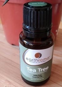 Tea tree oil