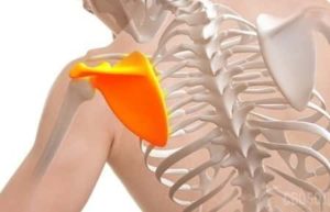 Pains in the Shoulder Blade: Causes and Treatment - Health Advisor