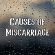 Causes of Miscarriage