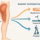 Diagram of gluteal muscle with arrows showing energy expenditure, surrounded by exercise icons for resistance band, treadmill, and stepper.