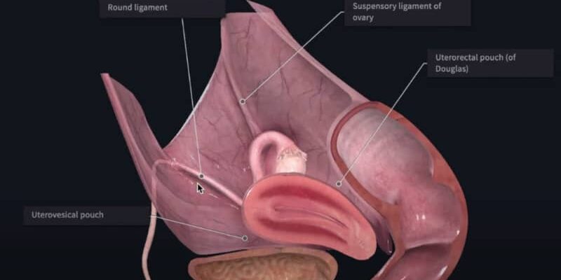 ovary-pain-on-left-side-causes-and-treatment-health-advisor