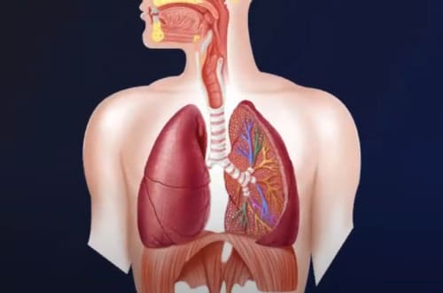 lungs hurt when taking a deep breath