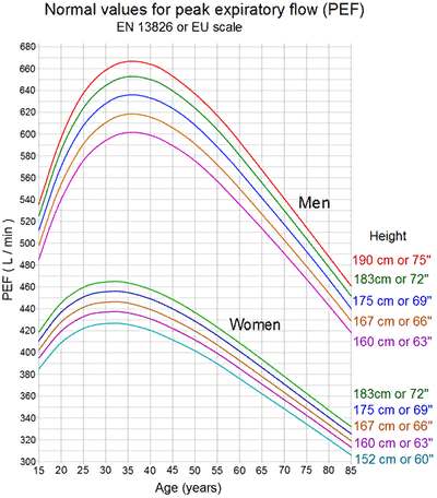 Normal PEF Range