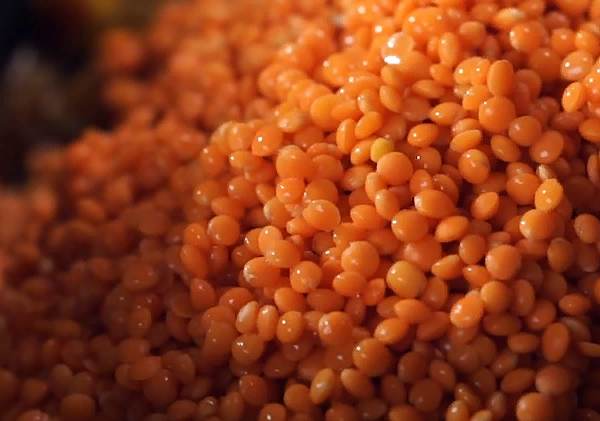 Carbs in Lentils