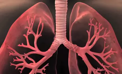 Examination of the lungs helps find the cause of the cough and prescribe treatment