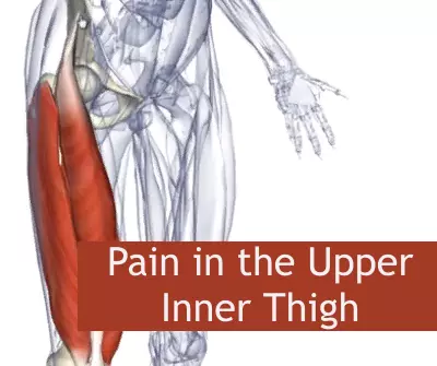 Pain in the Upper Inner Thigh