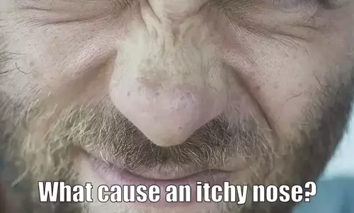 Man is looking for cause of the itchy nose