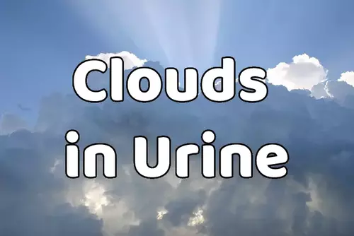 Clouds in Urine: What Does It Mean