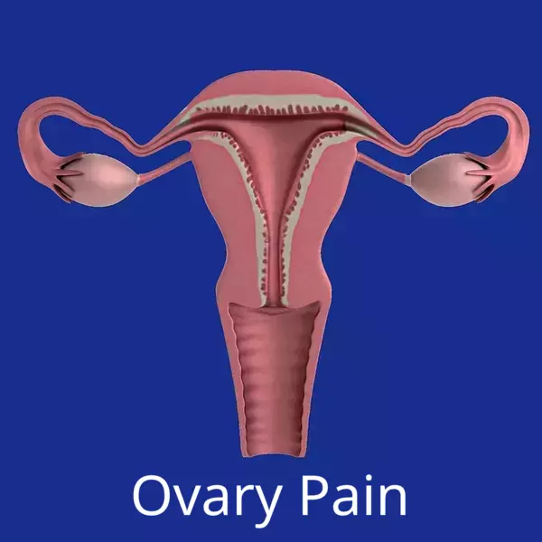 Ovary Pain on Left Side