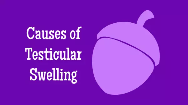 Causes of Testicular Swelling
